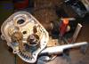 odeon8_r26_getr309.jpg