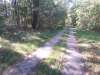 k-20141004_115544.jpg