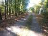 k-20141004_115553.jpg