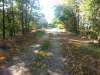 k-20141004_115557.jpg
