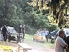 IMG_6303_copy.jpg
